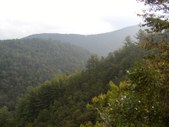 Enlarge photo 230