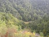 Enlarge photo 231