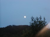Enlarge photo 228
