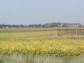 Enlarge photo 213