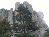 Enlarge photo 78