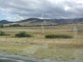Enlarge photo 203