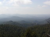 Enlarge photo 61
