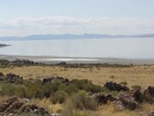 Enlarge photo 186