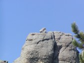 Enlarge photo 92