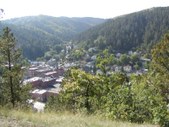 Enlarge photo 96