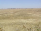 Enlarge photo 110