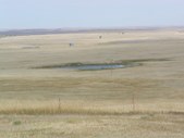 Enlarge photo 33