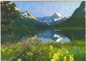 Enlarge photo 121