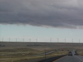 Enlarge photo 202