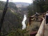 Enlarge photo 139