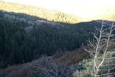 Enlarge photo 13