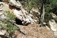Enlarge photo 29