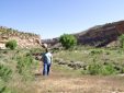 Enlarge photo 17