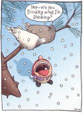 Humor