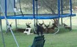 Enlarge photo 23