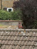 Enlarge photo 2