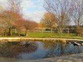 Enlarge photo 11