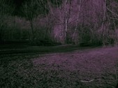 Enlarge photo 1