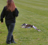Enlarge photo 17