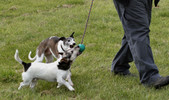 Enlarge photo 18