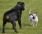 Enlarge photo 20