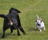Enlarge photo 21