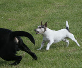 Enlarge photo 22