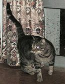 Enlarge photo 2