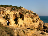 2004