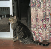 Enlarge photo 18