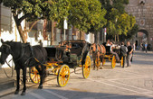 Enlarge photo 35
