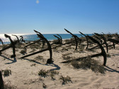 Enlarge photo 39