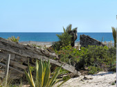 Enlarge photo 42
