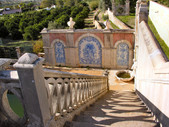 Enlarge photo 46