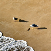 Enlarge photo 57