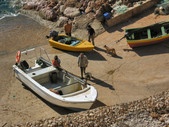 Enlarge photo 59