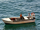 Enlarge photo 61