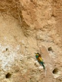 Enlarge photo 32