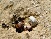 Enlarge photo 27