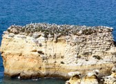 Enlarge photo 26
