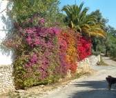 Enlarge photo 12