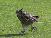 Enlarge photo 19