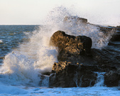 Enlarge photo 30