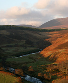 Enlarge photo 32