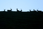 Enlarge photo 34