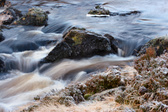 Enlarge photo 36