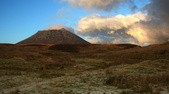 Enlarge photo 37