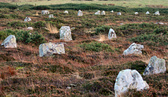 Enlarge photo 44