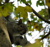 Enlarge photo 21